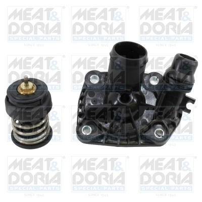 Thermostat, coolant